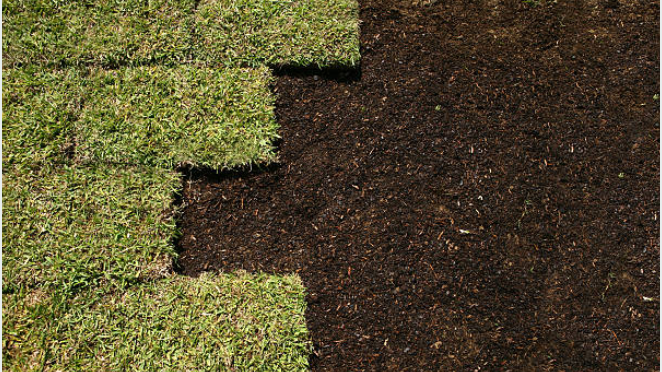 Lawn 3
