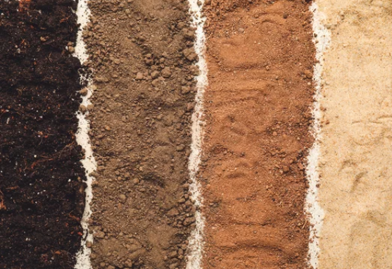 Organic soils